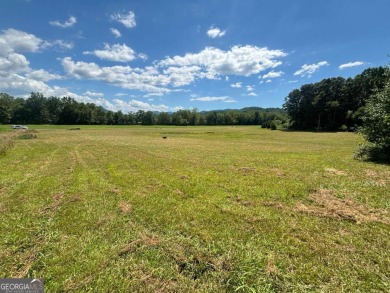 Gentle laying 3.4 acres in Young Harrs with Year-Round Mountain on Brasstown Valley Resort and Spa in Georgia - for sale on GolfHomes.com, golf home, golf lot