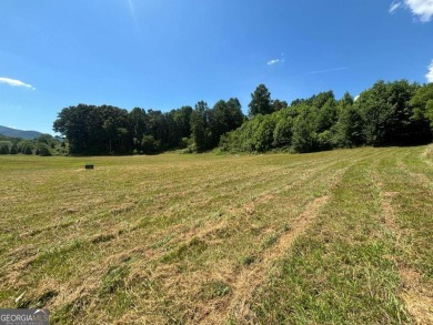 Gentle laying 3.4 acres in Young Harrs with Year-Round Mountain on Brasstown Valley Resort and Spa in Georgia - for sale on GolfHomes.com, golf home, golf lot