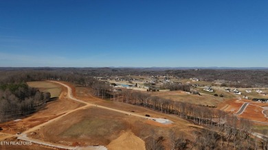Nestled on a scenic ridge within an exclusive golf community on Tennessee National Golf Club in Tennessee - for sale on GolfHomes.com, golf home, golf lot