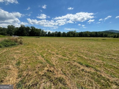 Gentle laying 3.4 acres in Young Harrs with Year-Round Mountain on Brasstown Valley Resort and Spa in Georgia - for sale on GolfHomes.com, golf home, golf lot