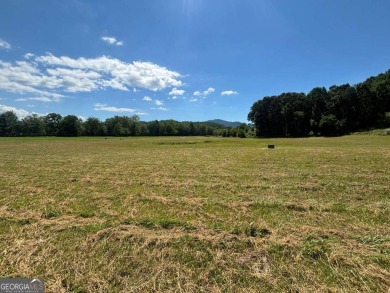 Gentle laying 3.4 acres in Young Harrs with Year-Round Mountain on Brasstown Valley Resort and Spa in Georgia - for sale on GolfHomes.com, golf home, golf lot