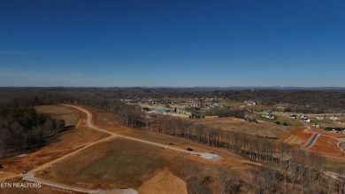 Nestled on a scenic ridge within an exclusive golf community on Tennessee National Golf Club in Tennessee - for sale on GolfHomes.com, golf home, golf lot