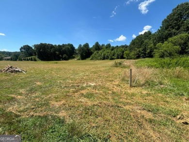 Gentle laying 3.4 acres in Young Harrs with Year-Round Mountain on Brasstown Valley Resort and Spa in Georgia - for sale on GolfHomes.com, golf home, golf lot