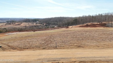 Nestled on a scenic ridge within an exclusive golf community on Tennessee National Golf Club in Tennessee - for sale on GolfHomes.com, golf home, golf lot