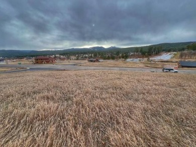 Vacant Corner Lot in Boulder Canyon - Black Hills, South Dakota on Boulder Canyon Country Club in South Dakota - for sale on GolfHomes.com, golf home, golf lot