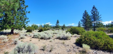 SCENIC GOLF COURSE LOT with MT. SHASTA VIEW ~ Build Your Dream on Lake Shastina Golf Course in California - for sale on GolfHomes.com, golf home, golf lot