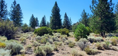 SCENIC GOLF COURSE LOT with MT. SHASTA VIEW ~ Build Your Dream on Lake Shastina Golf Course in California - for sale on GolfHomes.com, golf home, golf lot