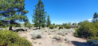 SCENIC GOLF COURSE LOT with MT. SHASTA VIEW ~ Build Your Dream on Lake Shastina Golf Course in California - for sale on GolfHomes.com, golf home, golf lot
