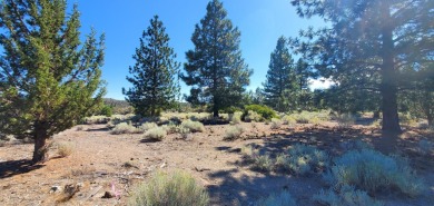 SCENIC GOLF COURSE LOT with MT. SHASTA VIEW ~ Build Your Dream on Lake Shastina Golf Course in California - for sale on GolfHomes.com, golf home, golf lot