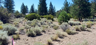 SCENIC GOLF COURSE LOT with MT. SHASTA VIEW ~ Build Your Dream on Lake Shastina Golf Course in California - for sale on GolfHomes.com, golf home, golf lot
