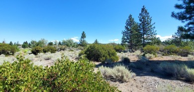 SCENIC GOLF COURSE LOT with MT. SHASTA VIEW ~ Build Your Dream on Lake Shastina Golf Course in California - for sale on GolfHomes.com, golf home, golf lot