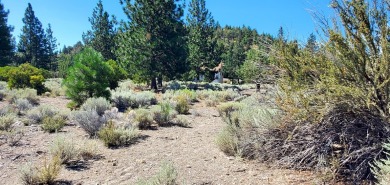 SCENIC GOLF COURSE LOT with MT. SHASTA VIEW ~ Build Your Dream on Lake Shastina Golf Course in California - for sale on GolfHomes.com, golf home, golf lot