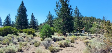 SCENIC GOLF COURSE LOT with MT. SHASTA VIEW ~ Build Your Dream on Lake Shastina Golf Course in California - for sale on GolfHomes.com, golf home, golf lot
