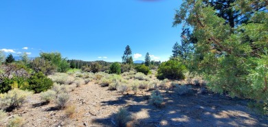 SCENIC GOLF COURSE LOT with MT. SHASTA VIEW ~ Build Your Dream on Lake Shastina Golf Course in California - for sale on GolfHomes.com, golf home, golf lot