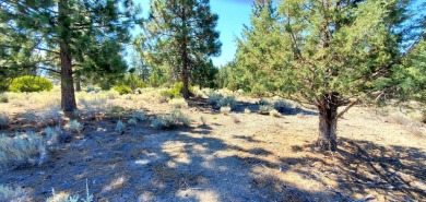 SCENIC GOLF COURSE LOT with MT. SHASTA VIEW ~ Build Your Dream on Lake Shastina Golf Course in California - for sale on GolfHomes.com, golf home, golf lot