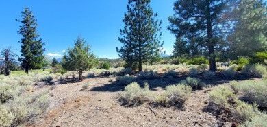 SCENIC GOLF COURSE LOT with MT. SHASTA VIEW ~ Build Your Dream on Lake Shastina Golf Course in California - for sale on GolfHomes.com, golf home, golf lot