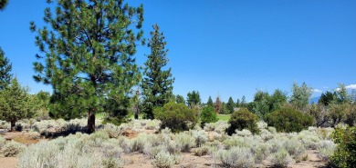 SCENIC GOLF COURSE LOT with MT. SHASTA VIEW ~ Build Your Dream on Lake Shastina Golf Course in California - for sale on GolfHomes.com, golf home, golf lot
