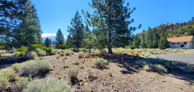 SCENIC GOLF COURSE LOT with MT. SHASTA VIEW ~ Build Your Dream on Lake Shastina Golf Course in California - for sale on GolfHomes.com, golf home, golf lot