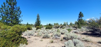 SCENIC GOLF COURSE LOT with MT. SHASTA VIEW ~ Build Your Dream on Lake Shastina Golf Course in California - for sale on GolfHomes.com, golf home, golf lot