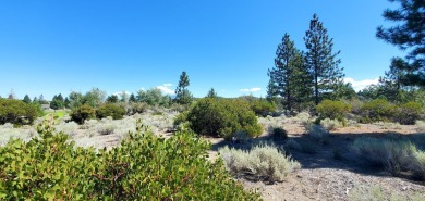 SCENIC GOLF COURSE LOT with MT. SHASTA VIEW ~ Build Your Dream on Lake Shastina Golf Course in California - for sale on GolfHomes.com, golf home, golf lot