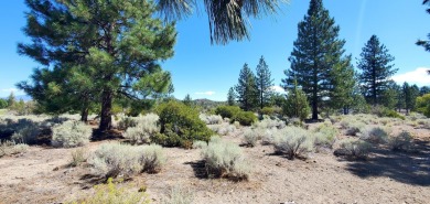 SCENIC GOLF COURSE LOT with MT. SHASTA VIEW ~ Build Your Dream on Lake Shastina Golf Course in California - for sale on GolfHomes.com, golf home, golf lot
