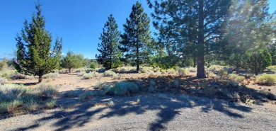 SCENIC GOLF COURSE LOT with MT. SHASTA VIEW ~ Build Your Dream on Lake Shastina Golf Course in California - for sale on GolfHomes.com, golf home, golf lot