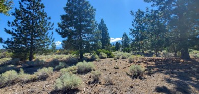 SCENIC GOLF COURSE LOT with MT. SHASTA VIEW ~ Build Your Dream on Lake Shastina Golf Course in California - for sale on GolfHomes.com, golf home, golf lot