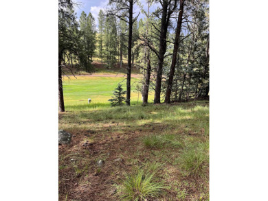 Awesome Golf Course Lot. The Golfer's perfect opportunity to on Angel Fire Resort Country Club in New Mexico - for sale on GolfHomes.com, golf home, golf lot