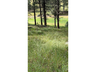 Awesome Golf Course Lot. The Golfer's perfect opportunity to on Angel Fire Resort Country Club in New Mexico - for sale on GolfHomes.com, golf home, golf lot