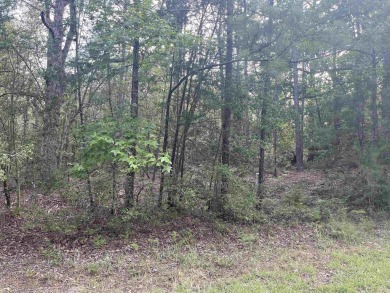 Come make Lake Sam Rayburn your home! This property is three on Rayburn Country Club in Texas - for sale on GolfHomes.com, golf home, golf lot