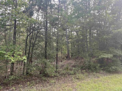 Come make Lake Sam Rayburn your home! This property is three on Rayburn Country Club in Texas - for sale on GolfHomes.com, golf home, golf lot