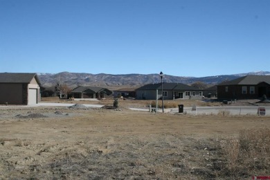 Shari B Gardner, RE/MAX Cimarron Realty, C: , shari,  : Level on The Bridges Golf and Country Club in Colorado - for sale on GolfHomes.com, golf home, golf lot