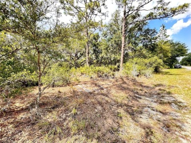 Build Your Dream Home in Indian Lake Estates!
Welcome to 514 on Indian Lake Estates Golf and Country Club in Florida - for sale on GolfHomes.com, golf home, golf lot