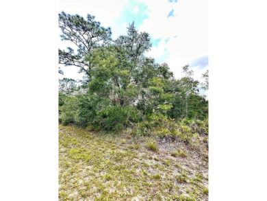 Build Your Dream Home in Indian Lake Estates!
Welcome to 514 on Indian Lake Estates Golf and Country Club in Florida - for sale on GolfHomes.com, golf home, golf lot