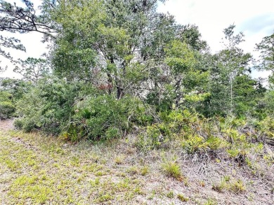 Build Your Dream Home in Indian Lake Estates!
Welcome to 514 on Indian Lake Estates Golf and Country Club in Florida - for sale on GolfHomes.com, golf home, golf lot