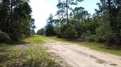 Build Your Dream Home in Indian Lake Estates!
Welcome to 514 on Indian Lake Estates Golf and Country Club in Florida - for sale on GolfHomes.com, golf home, golf lot