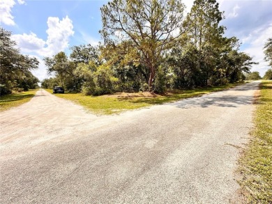 Build Your Dream Home in Indian Lake Estates!
Welcome to 514 on Indian Lake Estates Golf and Country Club in Florida - for sale on GolfHomes.com, golf home, golf lot