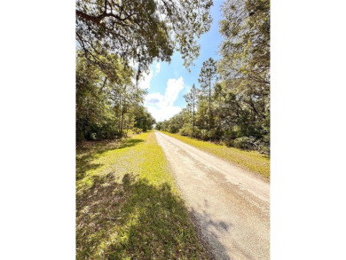 Build Your Dream Home in Indian Lake Estates!
Welcome to 514 on Indian Lake Estates Golf and Country Club in Florida - for sale on GolfHomes.com, golf home, golf lot