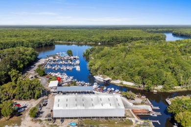 Ready for scenic views of the waterway and to enjoy waterfront on Wachesaw Plantation Club in South Carolina - for sale on GolfHomes.com, golf home, golf lot