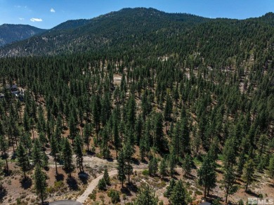 Discover a rare opportunity to own 2.3 acres of pristine land in on Clear Creek Tahoe in Nevada - for sale on GolfHomes.com, golf home, golf lot