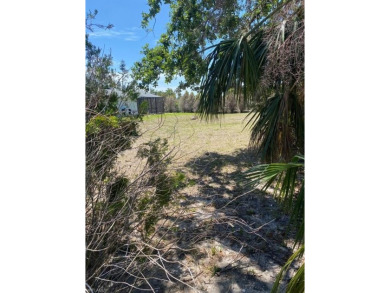 This prime clean vacant lot is nestled in the peaceful and on Rotonda Golf and Country Club The Palms Course in Florida - for sale on GolfHomes.com, golf home, golf lot