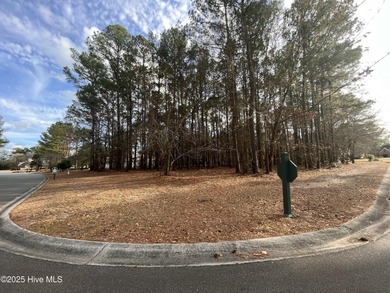 Large corner lot in gated, golf community less than 40 miles on River Landing Golf Course in North Carolina - for sale on GolfHomes.com, golf home, golf lot