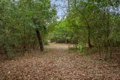 Take note of this once in a lifetime opportunity to build your on Palmetto Golf Club, Inc. in South Carolina - for sale on GolfHomes.com, golf home, golf lot
