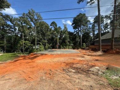 New Construction Home in Hideaway - Premier Amenities Just Steps on Hide-A-Way Lake Golf Course in Texas - for sale on GolfHomes.com, golf home, golf lot