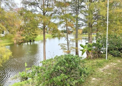 You cannot miss this, the price is UNBELIEVABLE for a lakefront on Lakes at Leesburg Golf Course in Florida - for sale on GolfHomes.com, golf home, golf lot