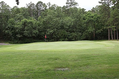 Very nice home on Coronado Golf Course overlooking the 11th on Coronado Golf Course in Arkansas - for sale on GolfHomes.com, golf home, golf lot