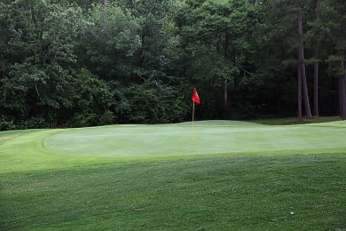 Very nice home on Coronado Golf Course overlooking the 11th on Coronado Golf Course in Arkansas - for sale on GolfHomes.com, golf home, golf lot