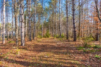 Are you looking for a rustic retreat that has three acres of on Pine Hills Golf Course in Wisconsin - for sale on GolfHomes.com, golf home, golf lot