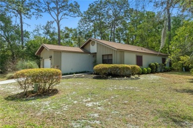 3 LOTS included in this sale! Wow!  Elegant Updates in BOTH on Sugarmill Woods Golf and Country Club in Florida - for sale on GolfHomes.com, golf home, golf lot