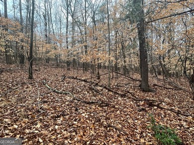 Excellent corner homesite located in the gated Chickasaw Point on The Trail At Chickasaw Pointe in South Carolina - for sale on GolfHomes.com, golf home, golf lot